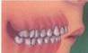 Ortho0603.jpg