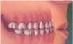 Ortho0605.jpg
