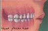 Ortho0606.jpg
